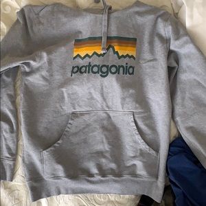 Patagonia Hoodie Sweatshirt